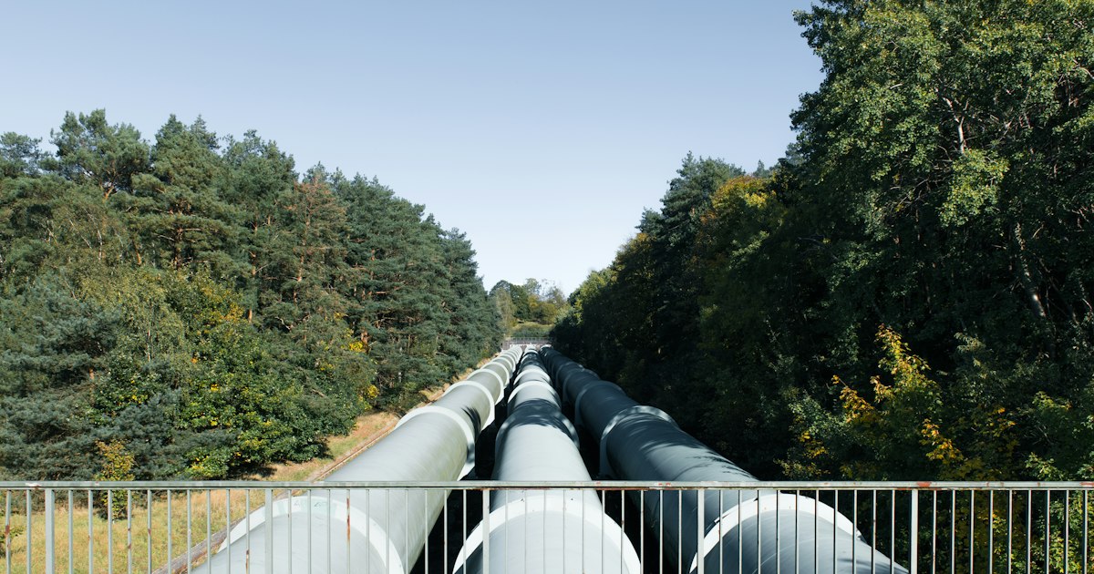 Pipelines running through a wooded area